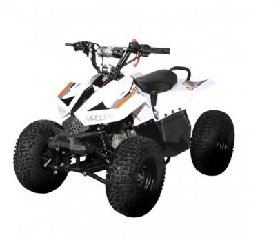 Квадроцикл 01-110cc
